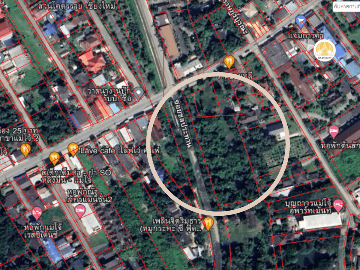 ขายที่ดิน 3 ไร่กว่าใกล้มหาวิทยาลัยแม่โจ้ เพียง 1.5 กม. 