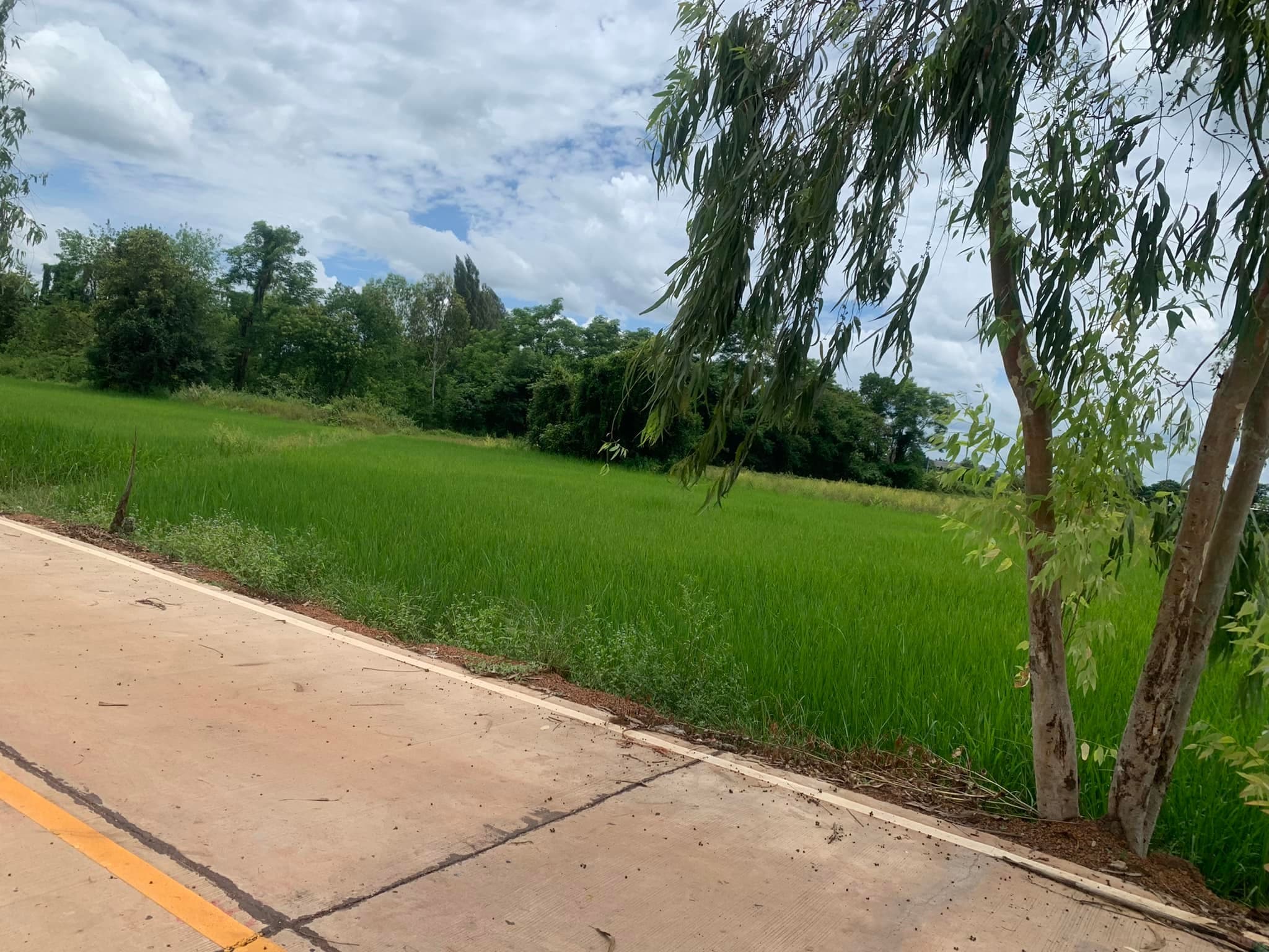 ขายที่ดินสกลนคร เมืองสกลนคร 2-1-60