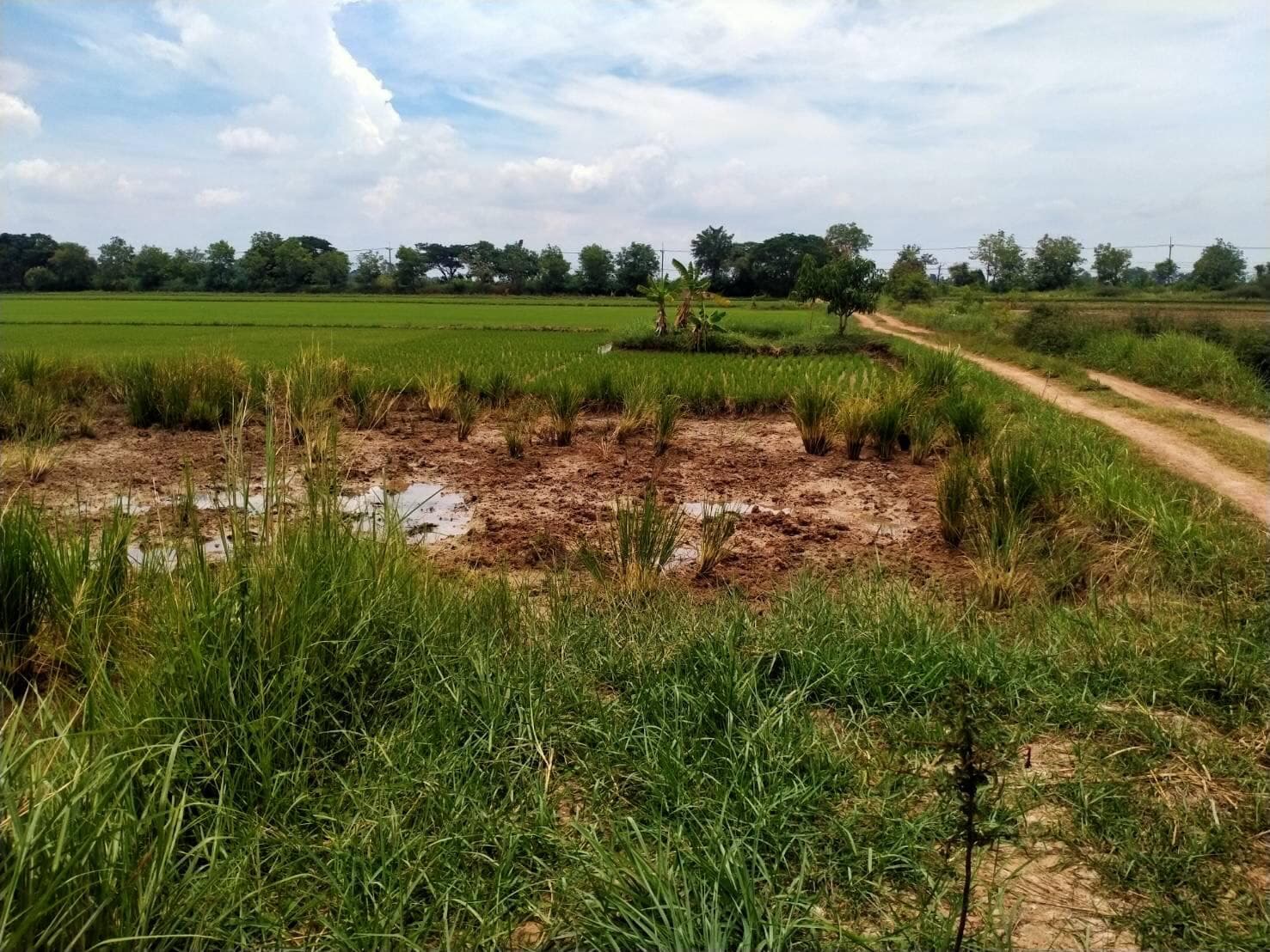 ขายที่ดินขอนแก่น เมืองขอนแก่น 5-0-23.7