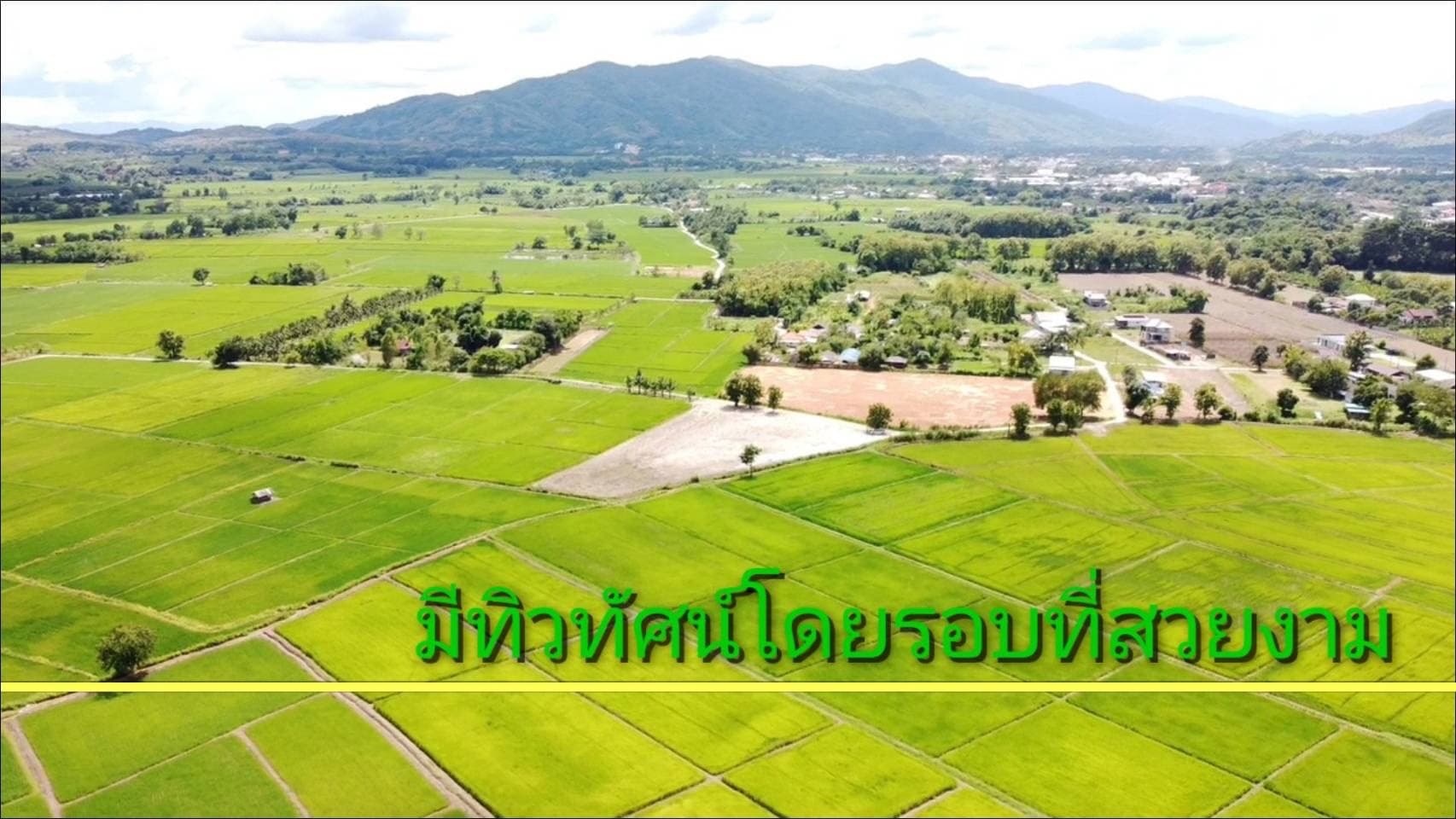 ที่ดินทุ่งนาวิวสวย แม่จัน เชียงราย 3-1-72