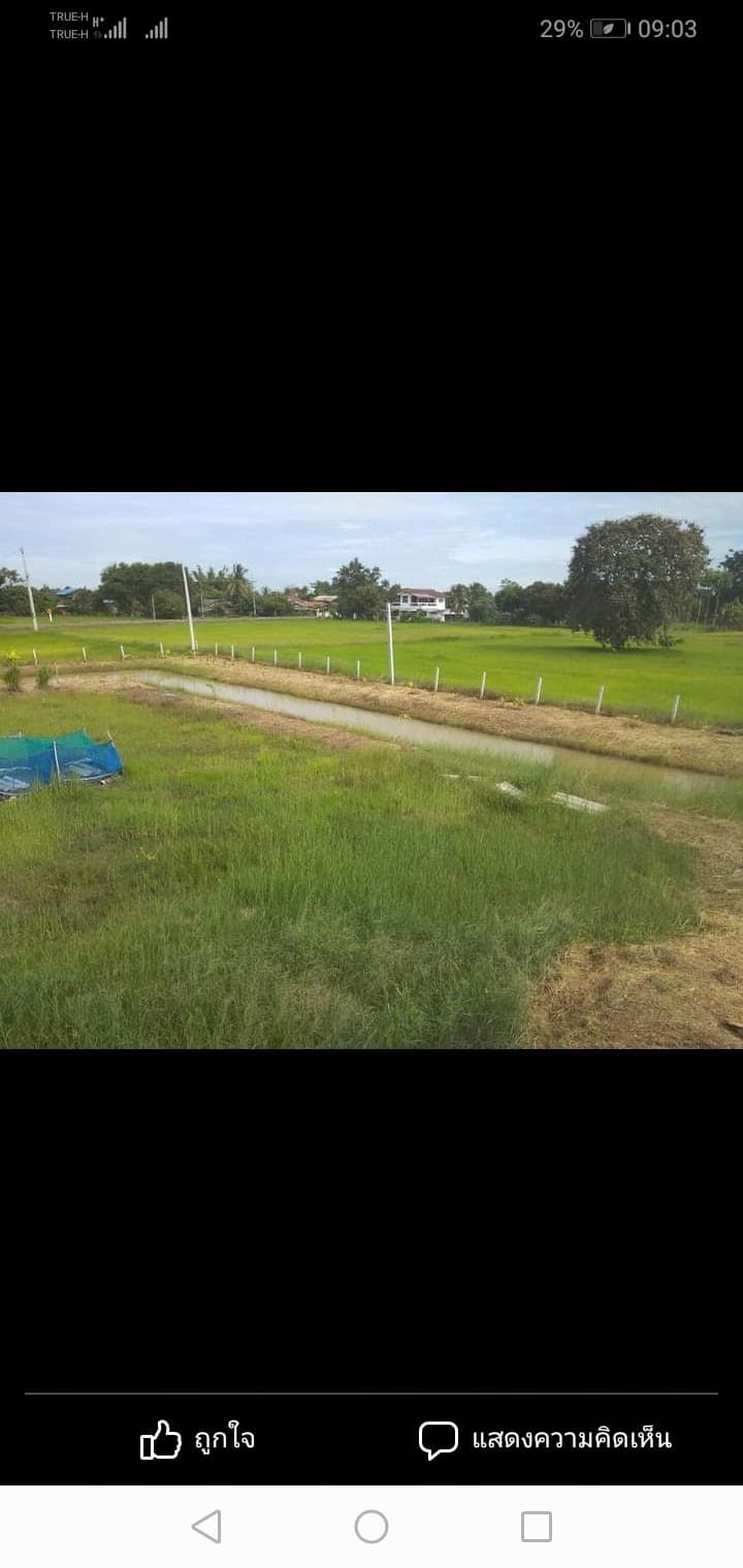 ขายบ้านพร้อมที่ดินบุรีรัมย์ ลำปลายมาศ 10-2-68 ไร่