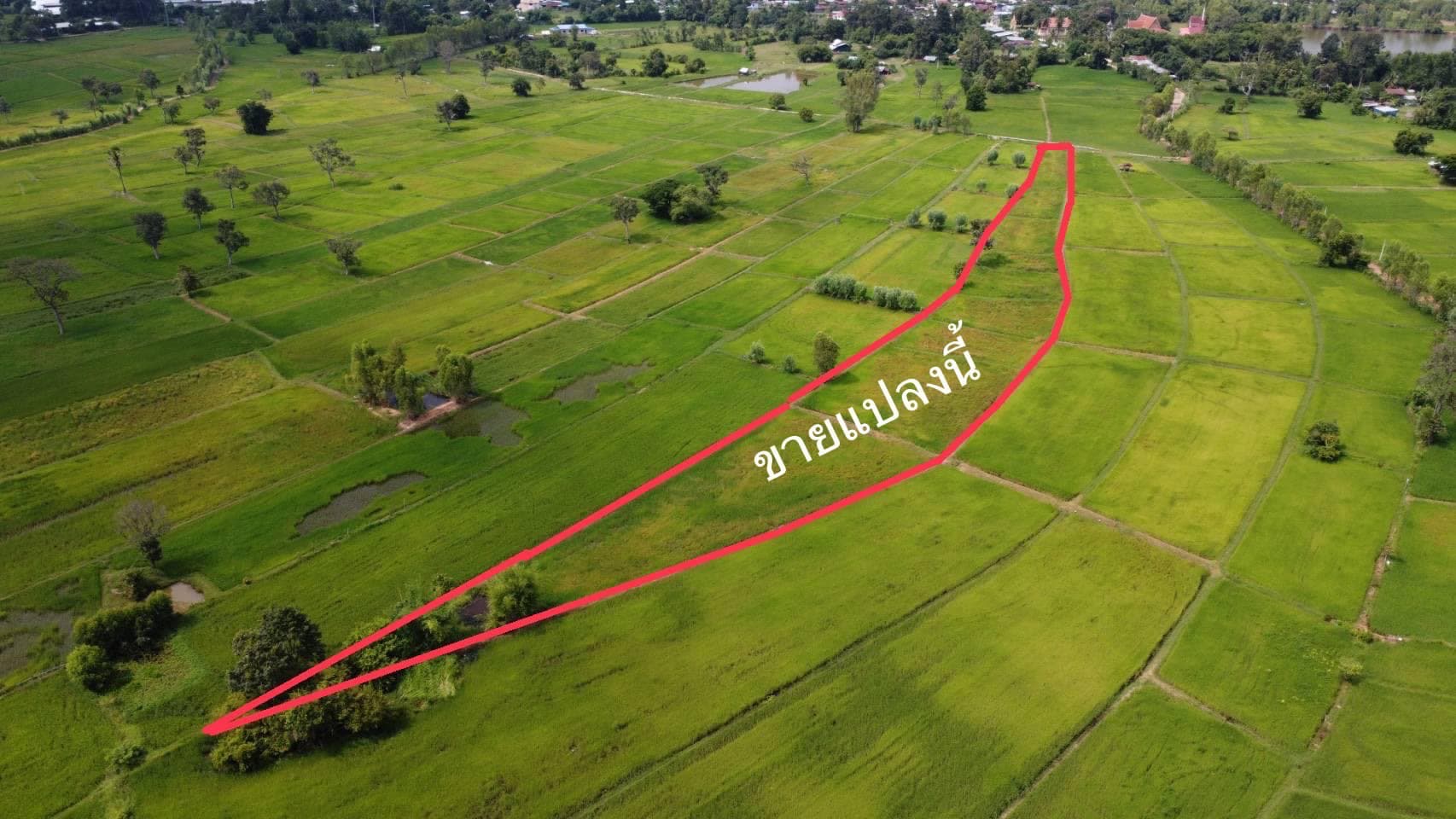 ขายด่วนที่นาติดคลองน้ำสาธารณะประโยชน์ ร้อยเอ็ด 4-2-30 ไร่