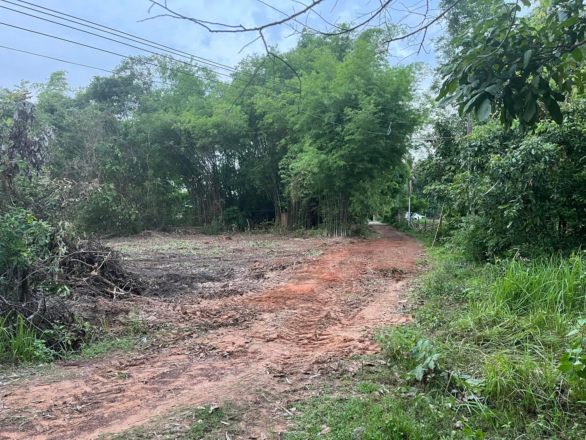 ที่ดิน ตำบลวังสามัคคี อำเภอโพนทอง จังหวัดร้อยเอ็ด 105 ตรว. 