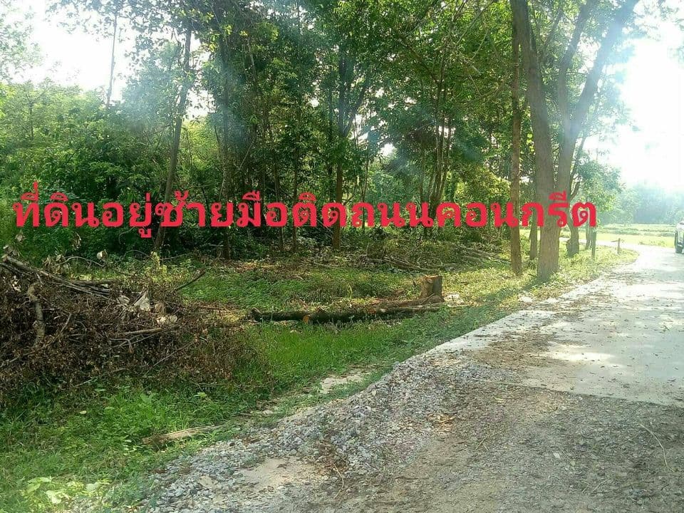 ขายที่ดิน พิจิตร 0-3-4 ไร่