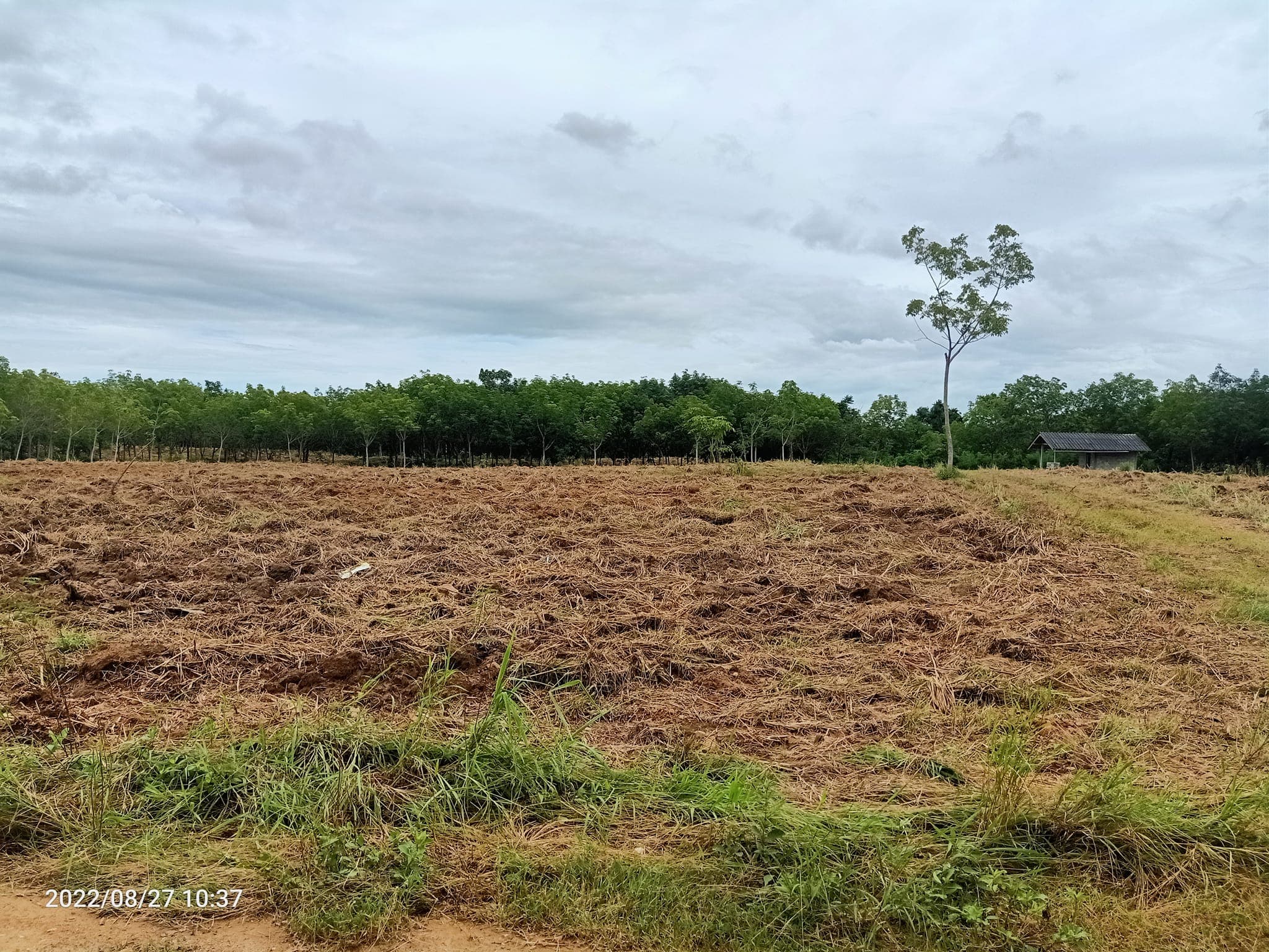 ขายที่ดินประจวบคีรีขันธ์ เมืองประจวบคีรีขันธ์ 33-2-19.4 ไร่