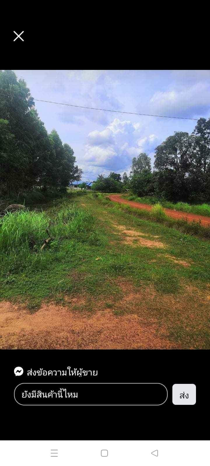ขายที่ดินอุบลฯ พิบูลมังสาหาร