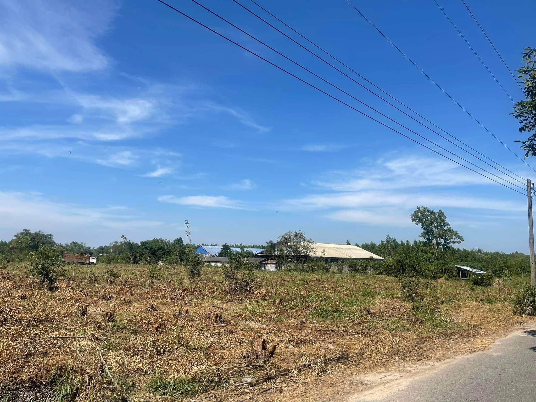 ขายที่ดิน อ.บ้านบึง จ.ชลบุรี  20-2-70 ไร่