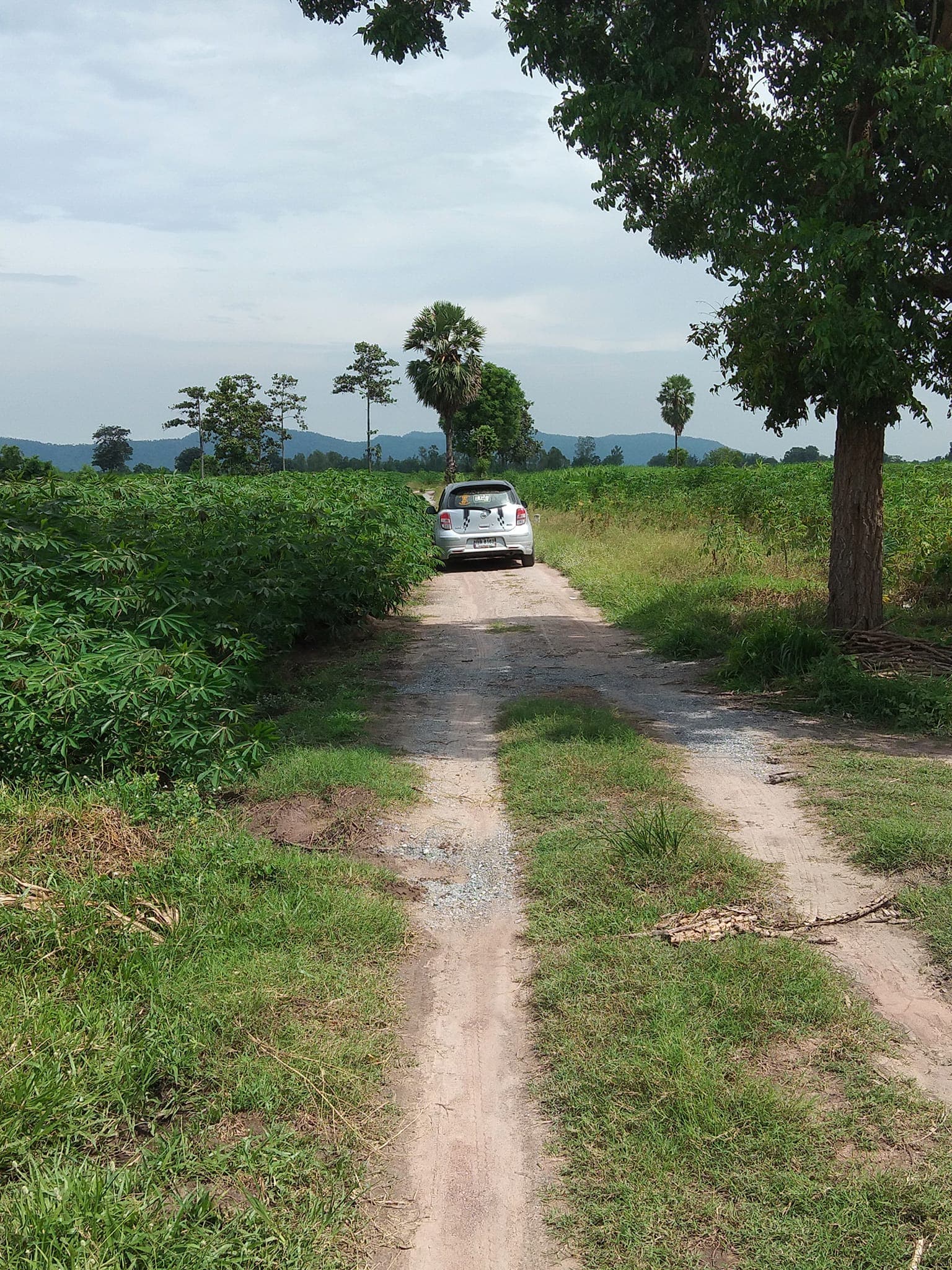 ขายที่ดิน สุพรรณบุรี 3-0-0