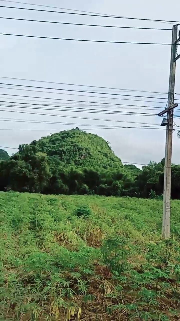 ขายที่ดินอุทัยธานี บ้านไร่ 2-2-11