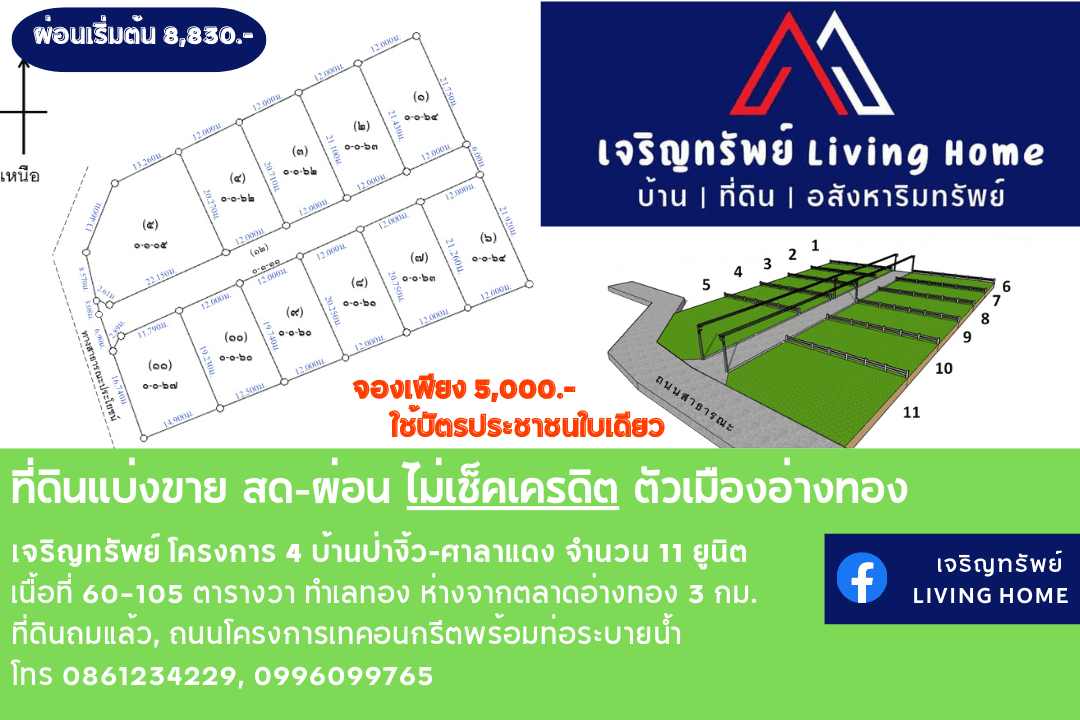 ที่ดินแบ่งขาย สด-ผ่อน อ่างทอง อ.ไชโย