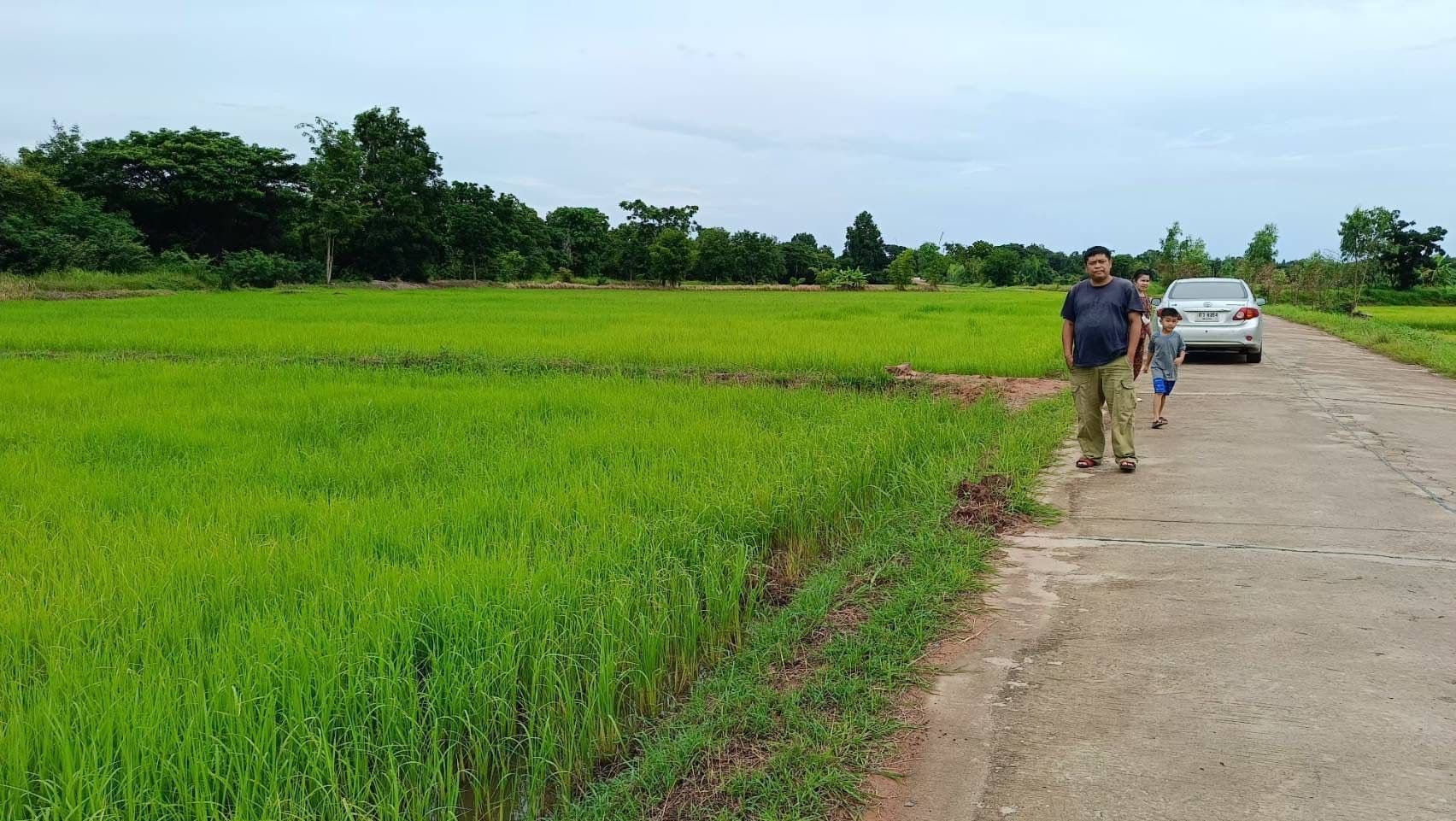 ประกาศขายที่ดิน อ.เชียงยืน ห่างจากตัวเมืองขอนแก่นเพียง 15 กม.