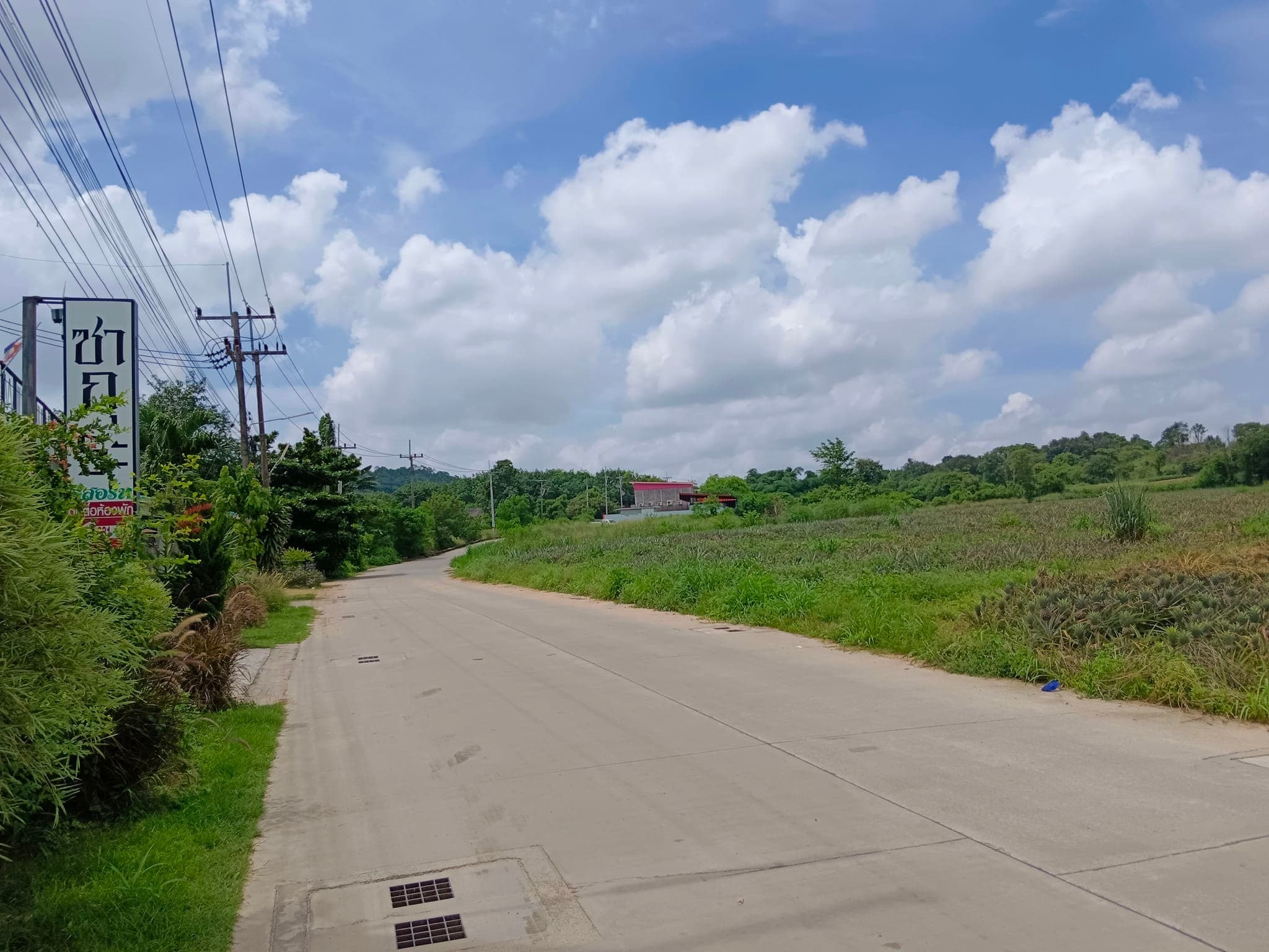 ที่ดิน23ไร่เศษ ติดถนนสายห้วยเหียน ใกล้หมู่บ้านฟอเรสต์ฮิลล์  ชลบุรี 