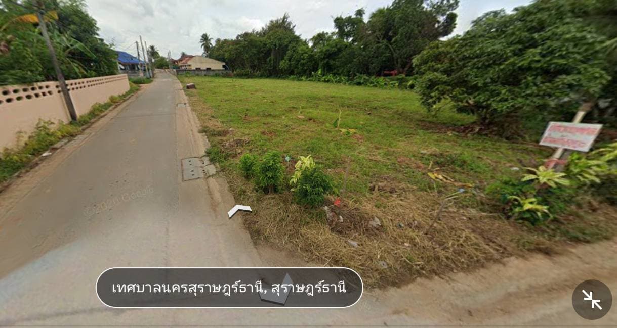 ขายที่ดิน สุราษฎร์ธานี 1-0-48.6 ไร่