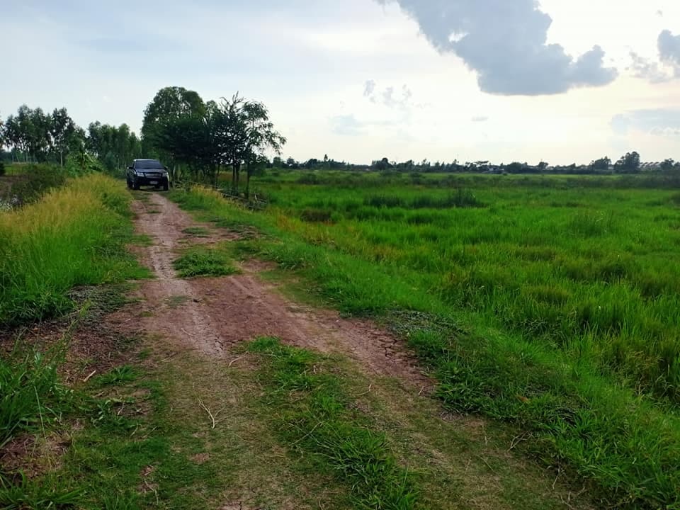 ขายที่ดิน มหาสารคาม 4-2-92 ไร่