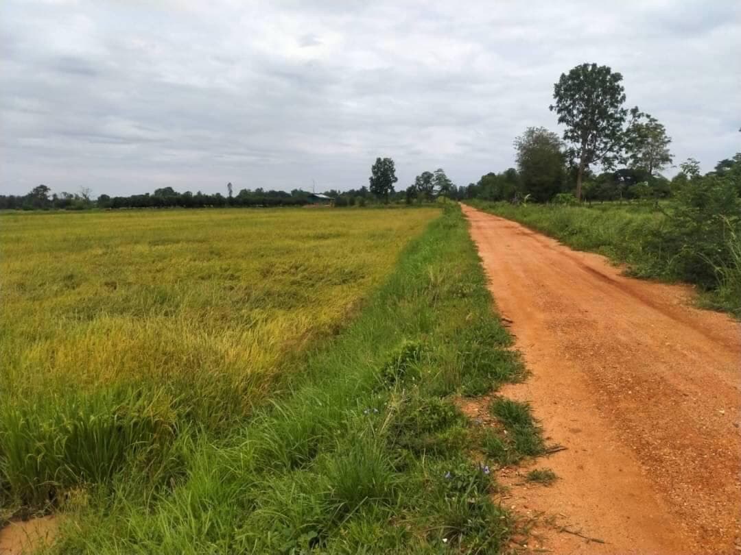 ขายที่ดินขอนแก่น เมืองขอนแก่น 4-0-28.8