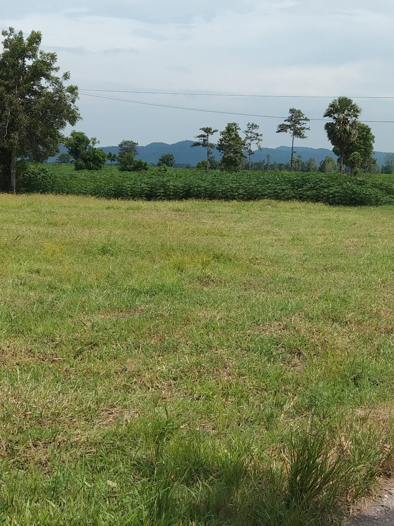 ขายที่ดิน สุพรรณบุรี 3-0-0
