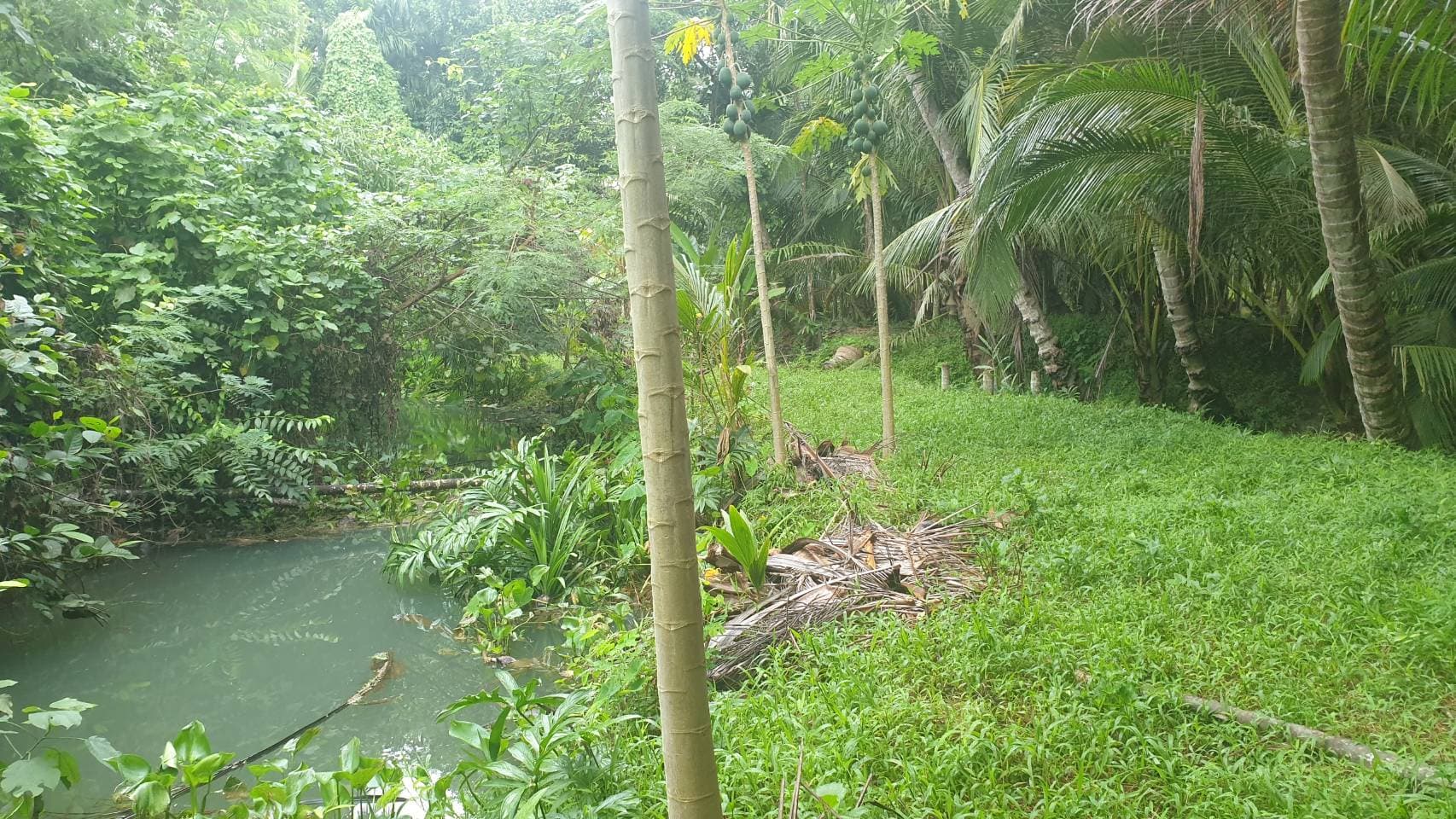 ที่ดินติดน้ำ เพชรบูรณ์  280 ตร.ว