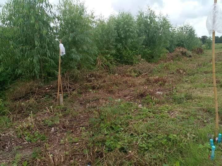 ขายที่ดิน สุพรรณบุรี 9-3-27