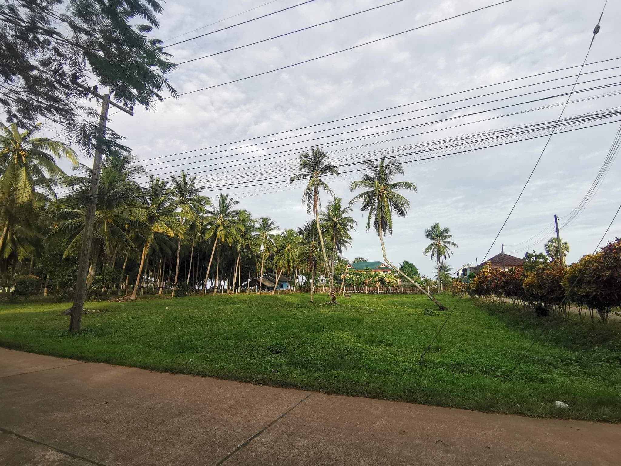 ขายที่ดิน ชุมพร 1-3-0 ไร่