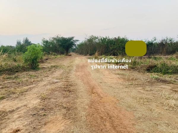 ขายที่ดินลำพูน อำเภอเมือง พร้อมต้นสัก 