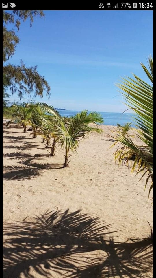 ที่ดินติดชายหาด พร้อมกิจการร้านอาหาร ชุมพร 1ไร่