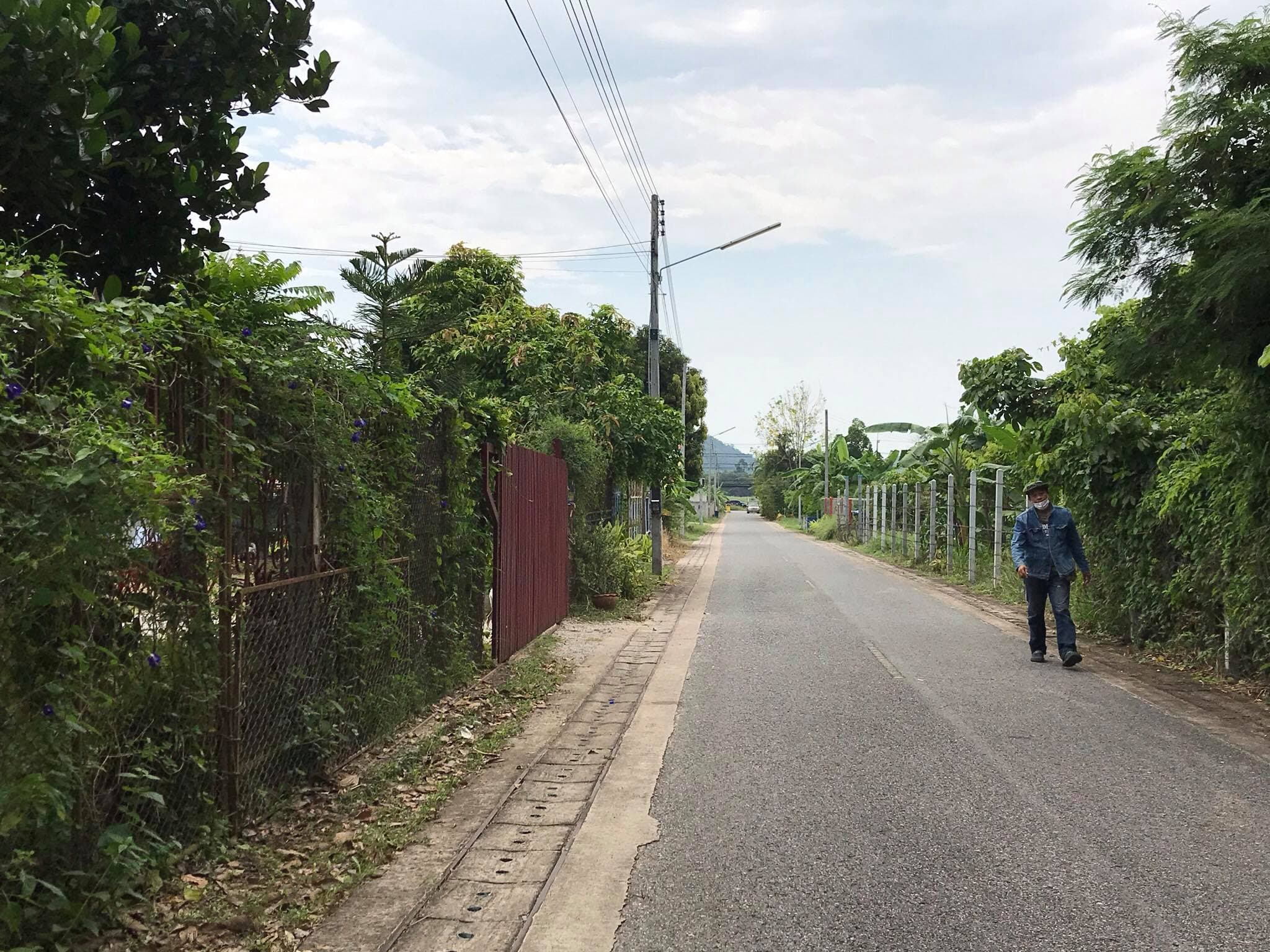 ที่ดินเปล่า ชลบุรี 291 ตร.ว