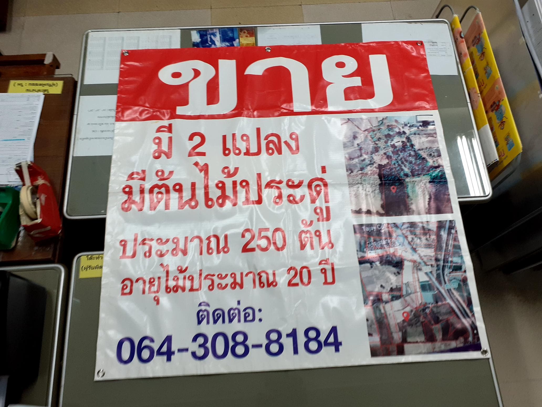 ขายที่ดินกาฬสินธุ์ จ.กาฬสินธุ์ อ.ยางตลาด 29-1-10 ไร่