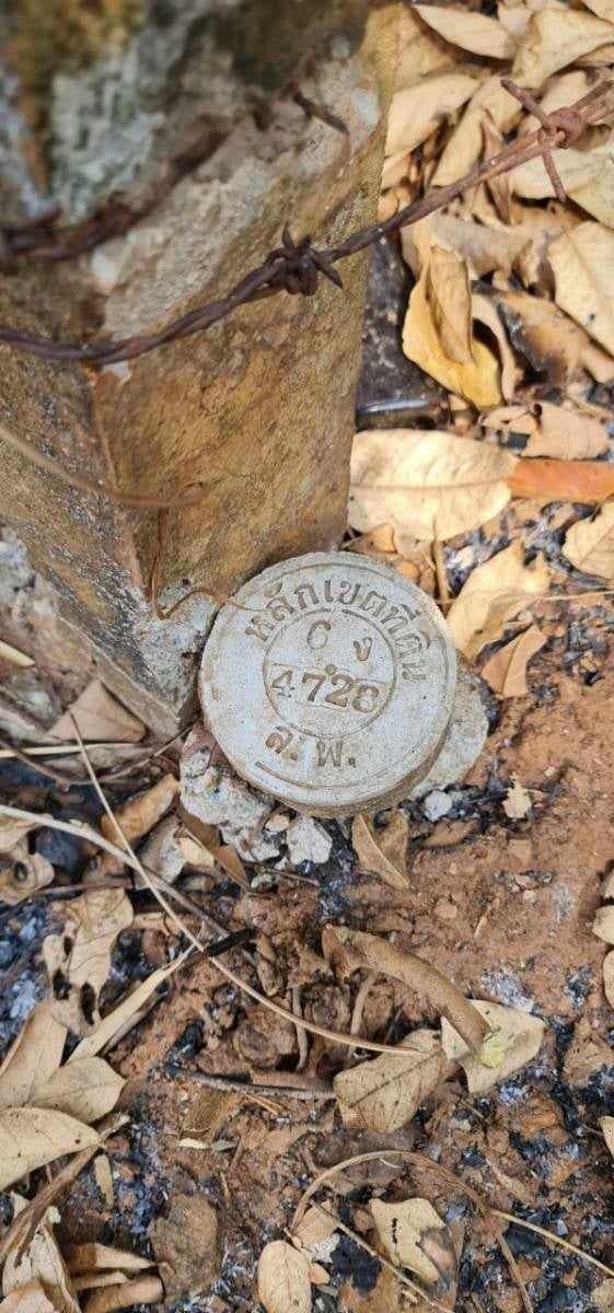 ขายที่ดินลำพูน อำเภอเมือง พร้อมต้นสัก 