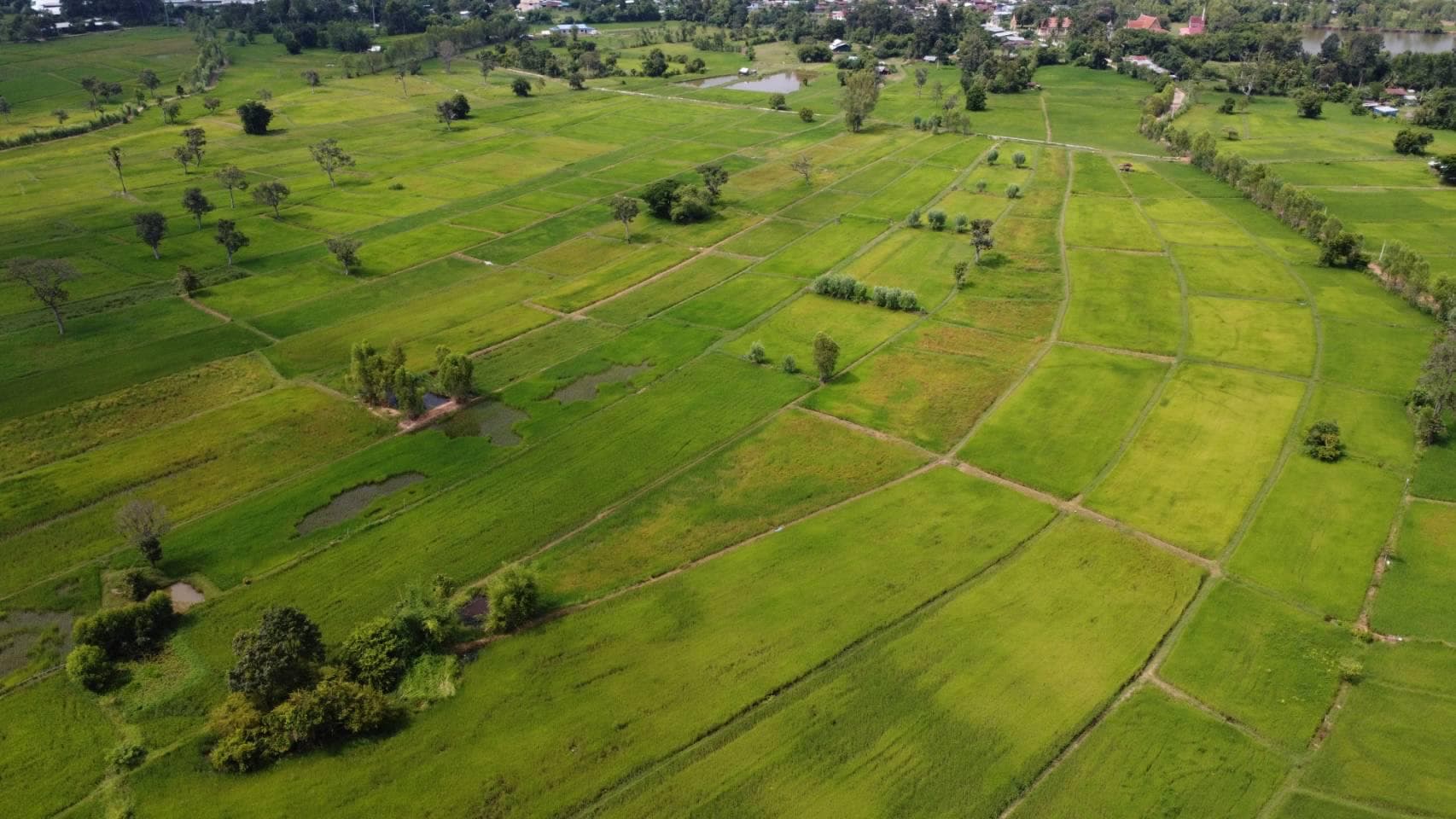ขายด่วนที่นาติดคลองน้ำสาธารณะประโยชน์ ร้อยเอ็ด 4-2-30 ไร่