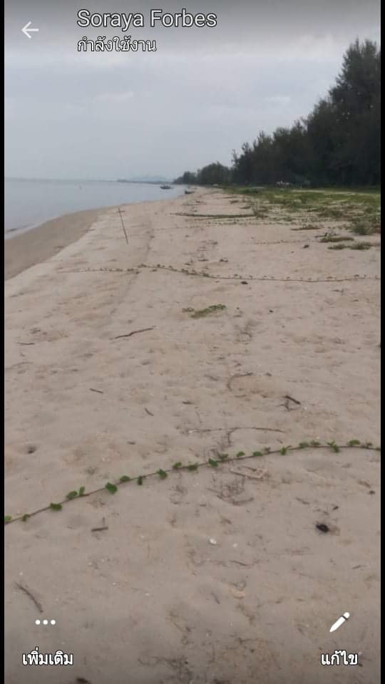 ที่ดินติดชายหาด พร้อมกิจการร้านอาหาร ชุมพร 1ไร่