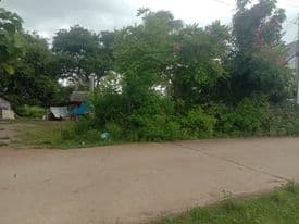 ที่ดินเพชรบุรี จ.เพชรบุรี อ.ชะอำ 2-3-77 ไร่