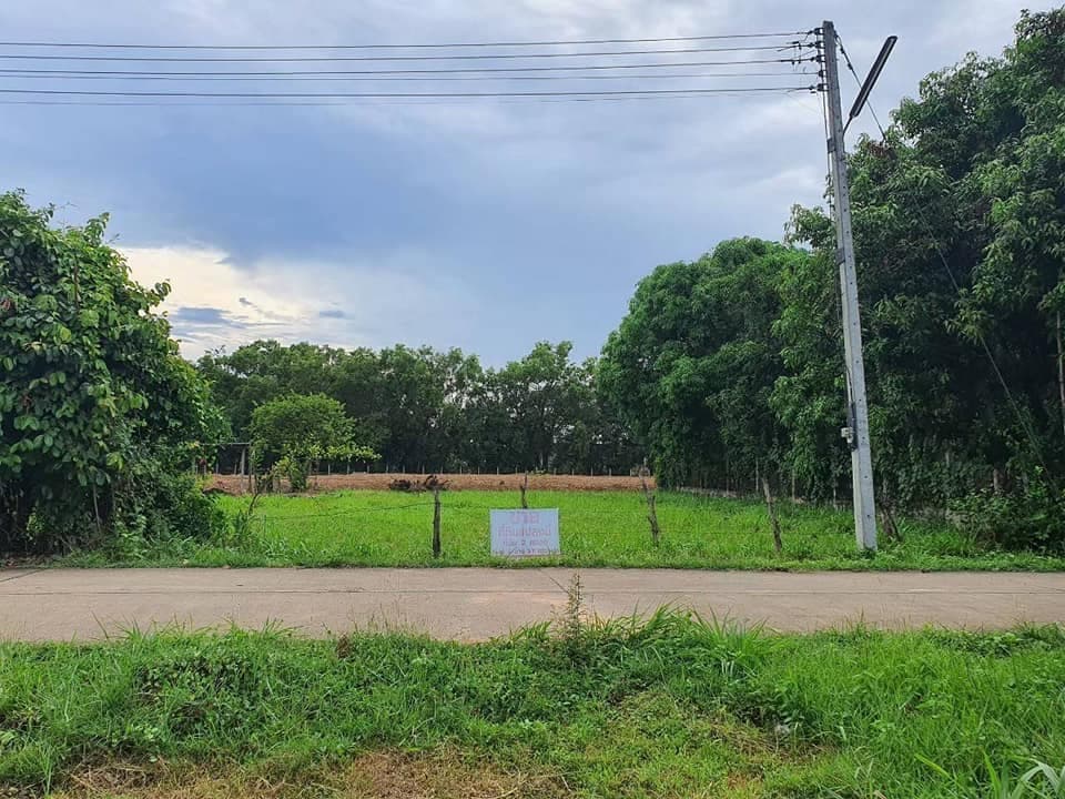 ขายที่ดินร้อยเอ็ด เมืองร้อยเอ็ด 0-1-57