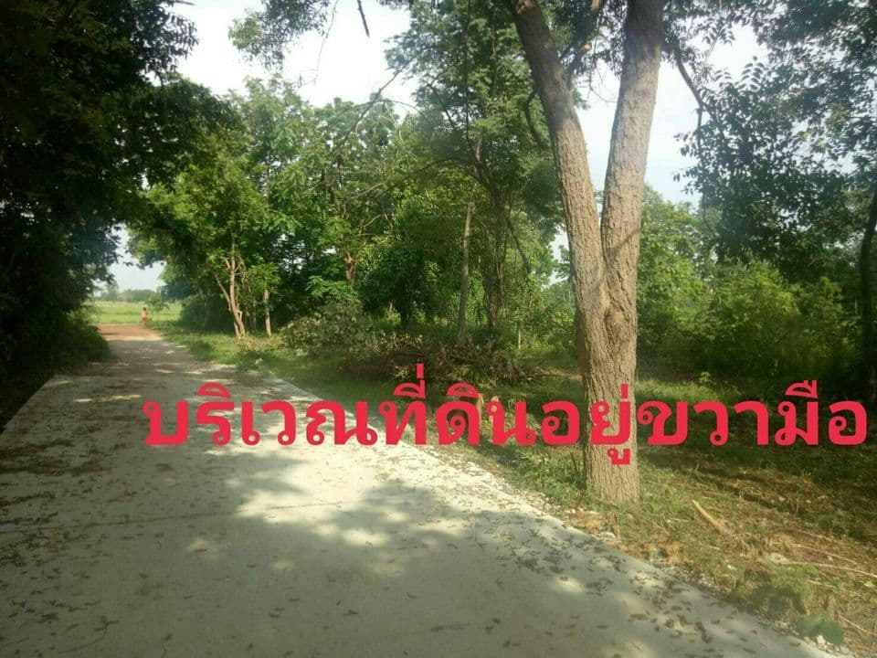 ขายที่ดิน พิจิตร 0-3-4 ไร่