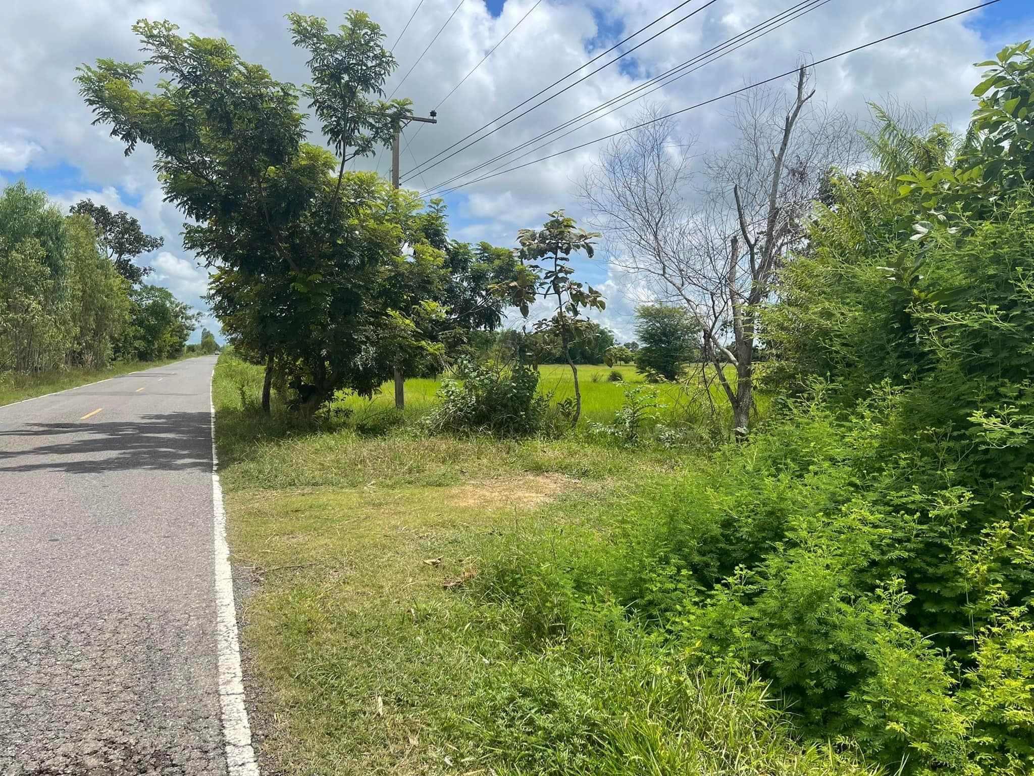 ขายที่ดิน อ.ธวัชบุรี จ.ร้อยเอ็ด 0-3-53 ไร่