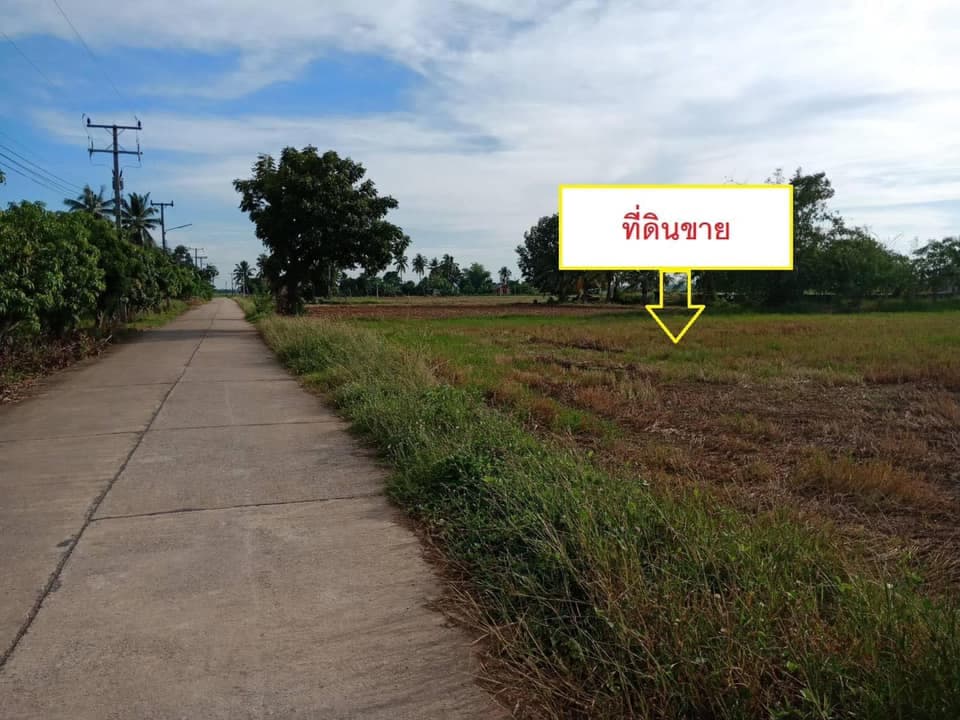 ที่ดิน ด้านหลังมีสระน้ำ  พิษณุโลก 3 งาน