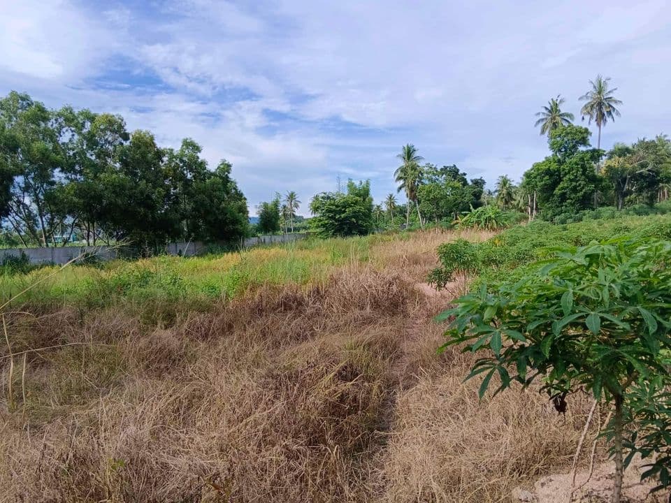 ที่ดิน ใกล้สำนักงานที่ดินศรีราชา เขตตำบลหนองขาม จังหวัดชลบุรี 9-0-88