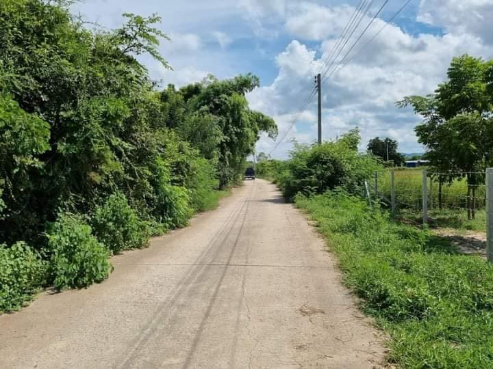 ขายที่ดิน สุพรรณบุรี 1 ไร่