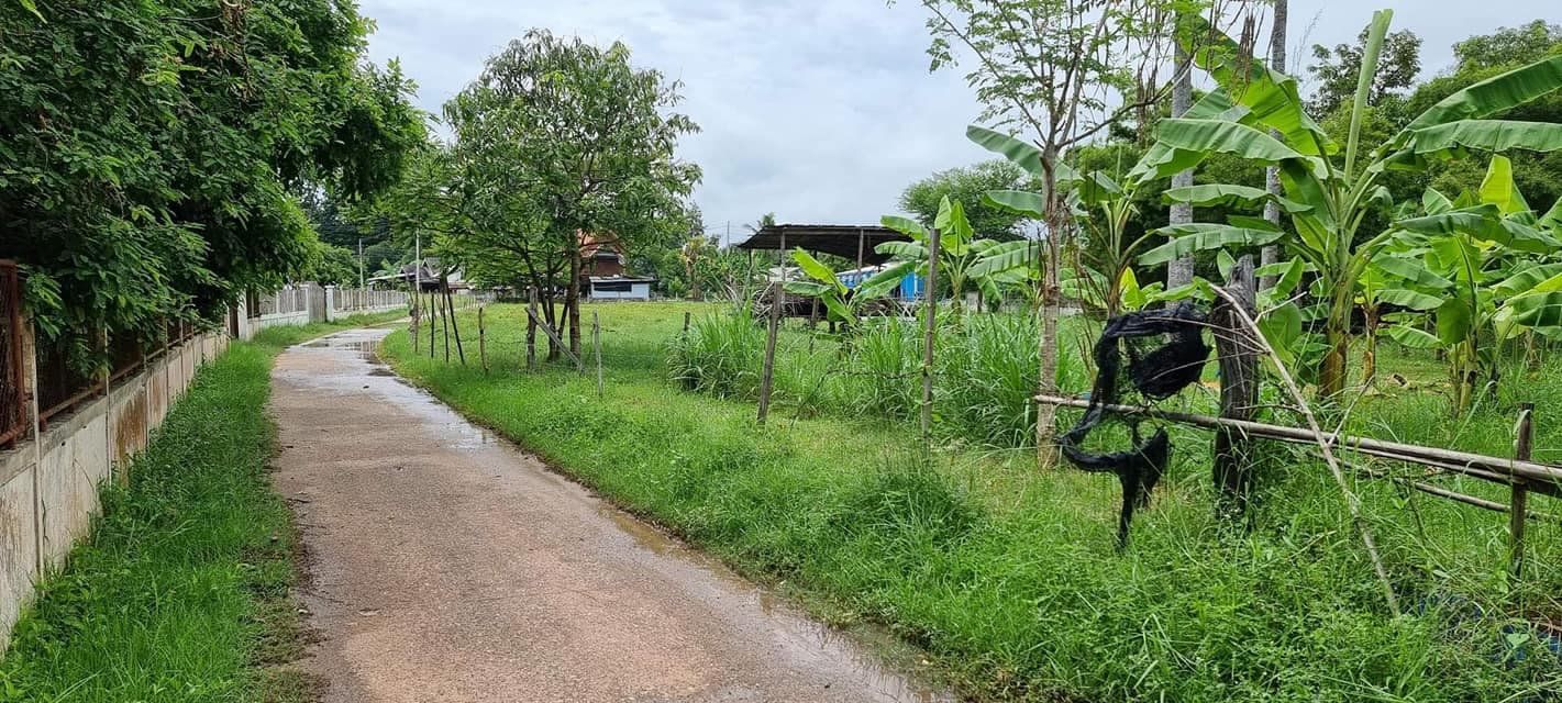 ขายที่ดินขอนแก่น เมืองขอนแก่น  4-0-33