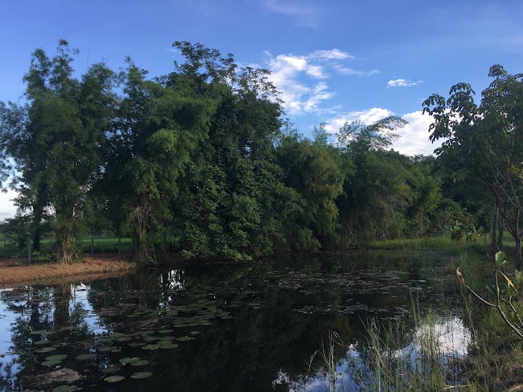 ที่ดินติดถนน 227 สหัสขันธ์-สมเด็จ