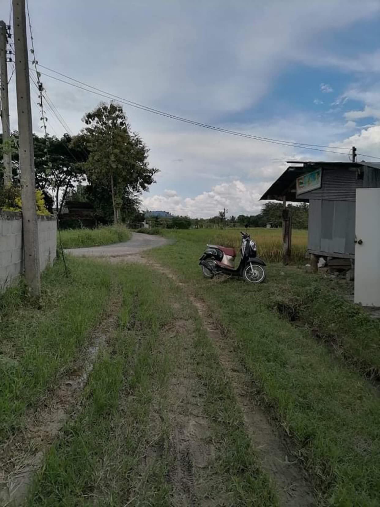 ขายที่ดิน เชียงใหม่ 2-0-68