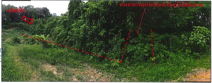 ขายที่ดิน กระบี่ 14-3-50.3 ไร่
