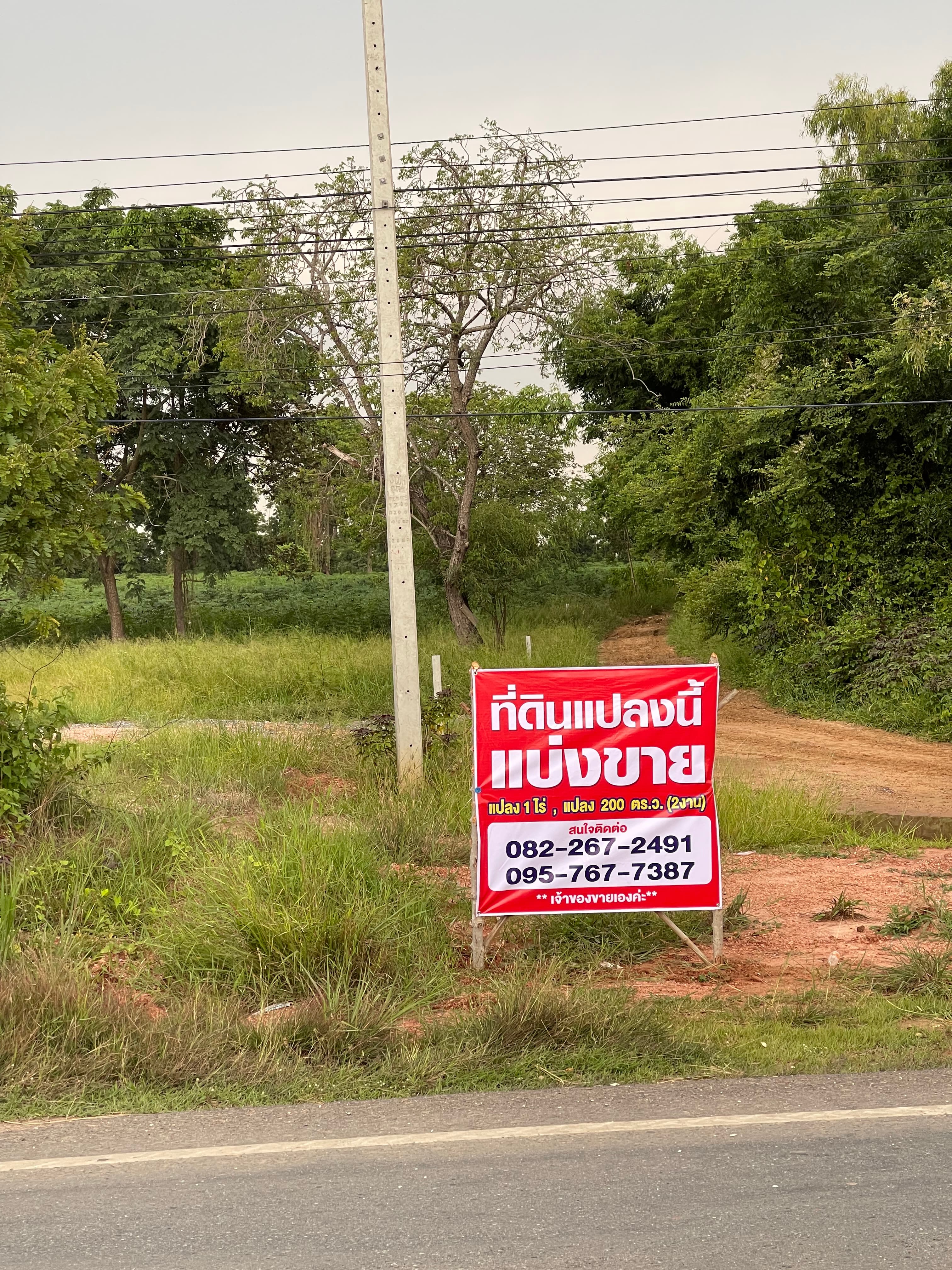 ขายที่ดินติดถนนหลวงสาย 2068 โนนไทย -หนองสรวง 2-2-67