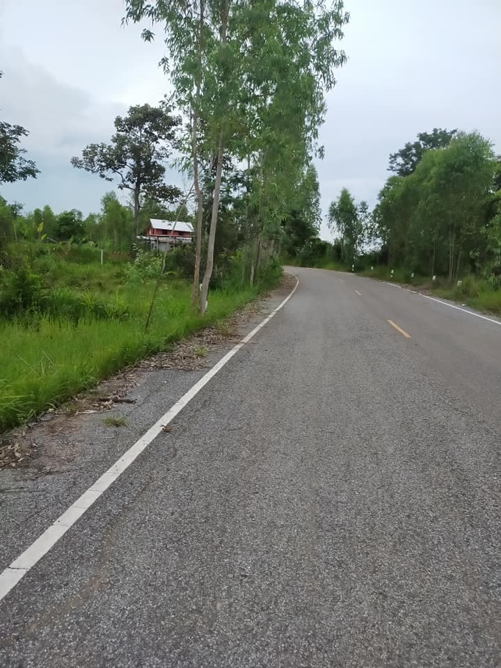 ขายที่ดิน กาฬสินธุ์ 2-0-24 ไร่