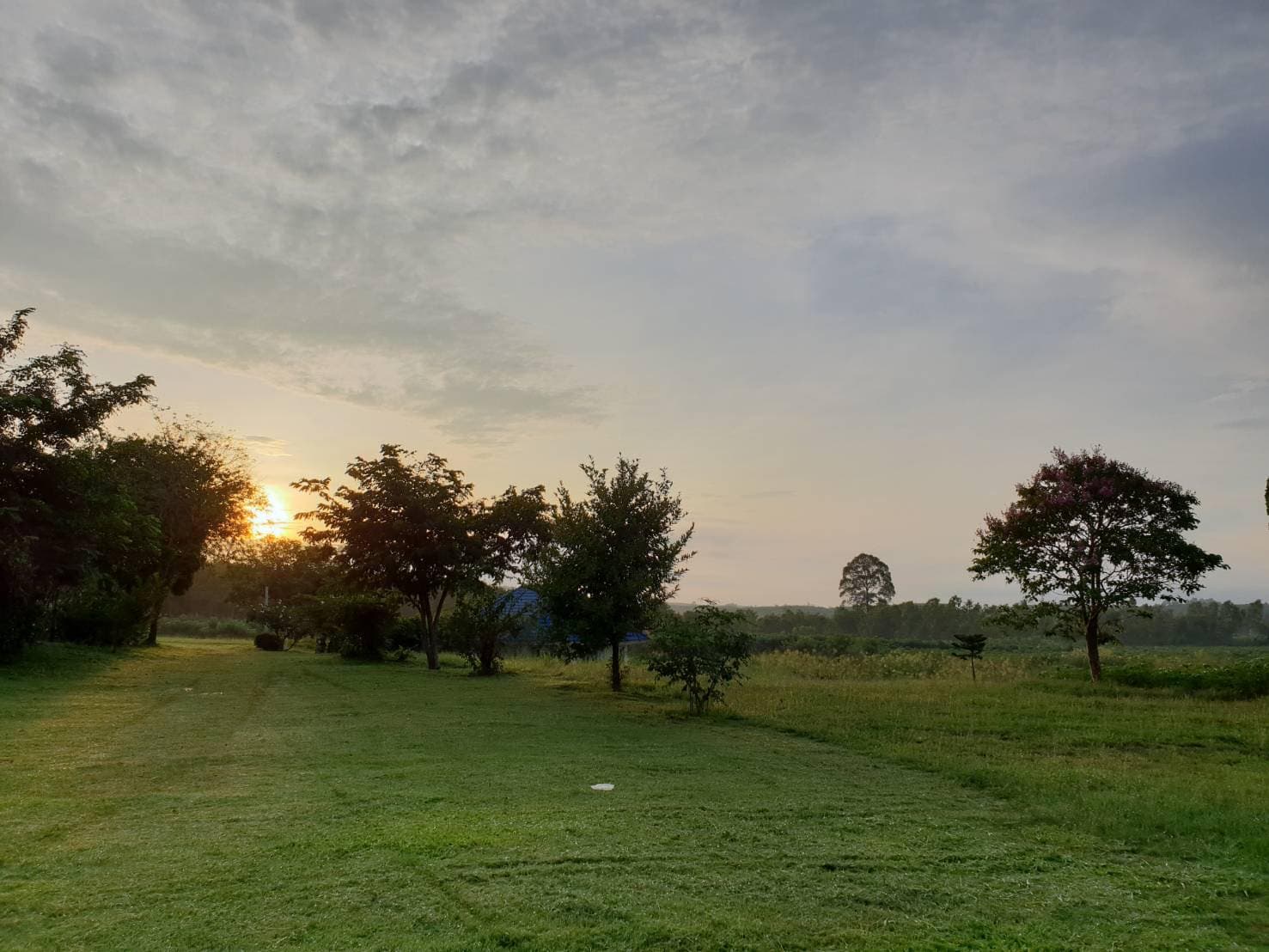 ที่ดิน บางละมุง ชลบุรี 293-1-95
