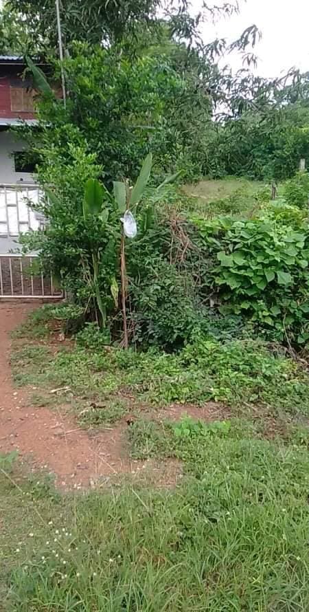 ที่ดินเปล่า อุตรดิษถ์ 1-1-88