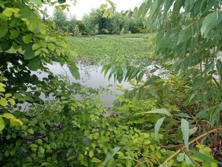 ขายที่ดิน สุพรรณบุรี 9-3-27
