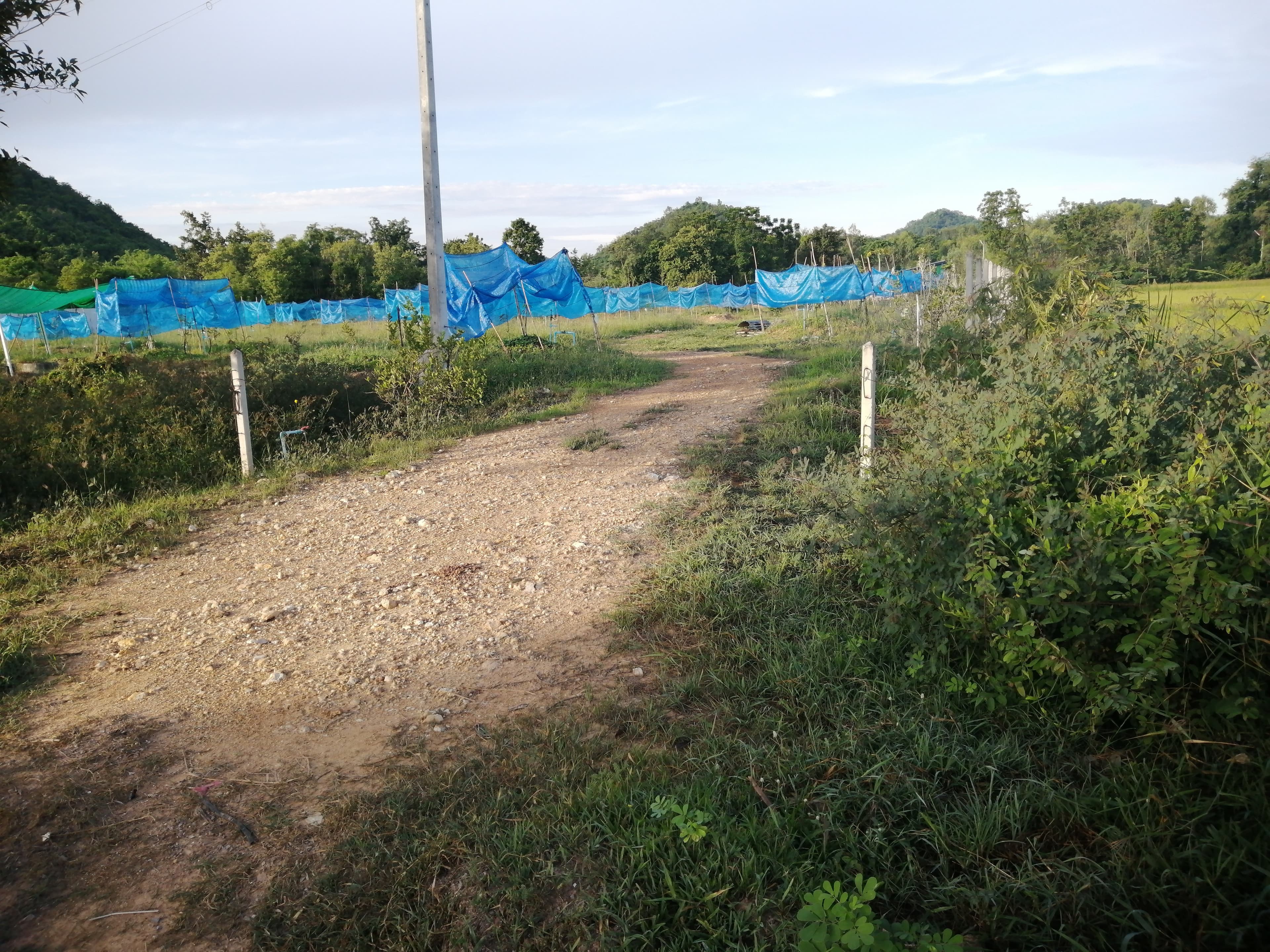 ขายที่ดิน อ.เมือง จ.ราชบุรี 4-3-9