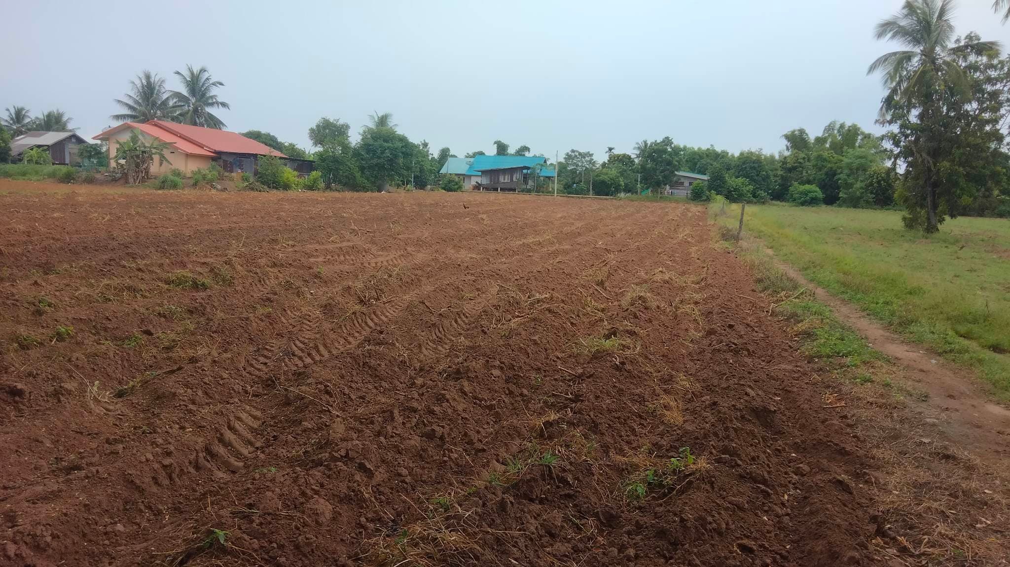 ขายที่ดินโคราช หนองบุญมา 3-1-60
