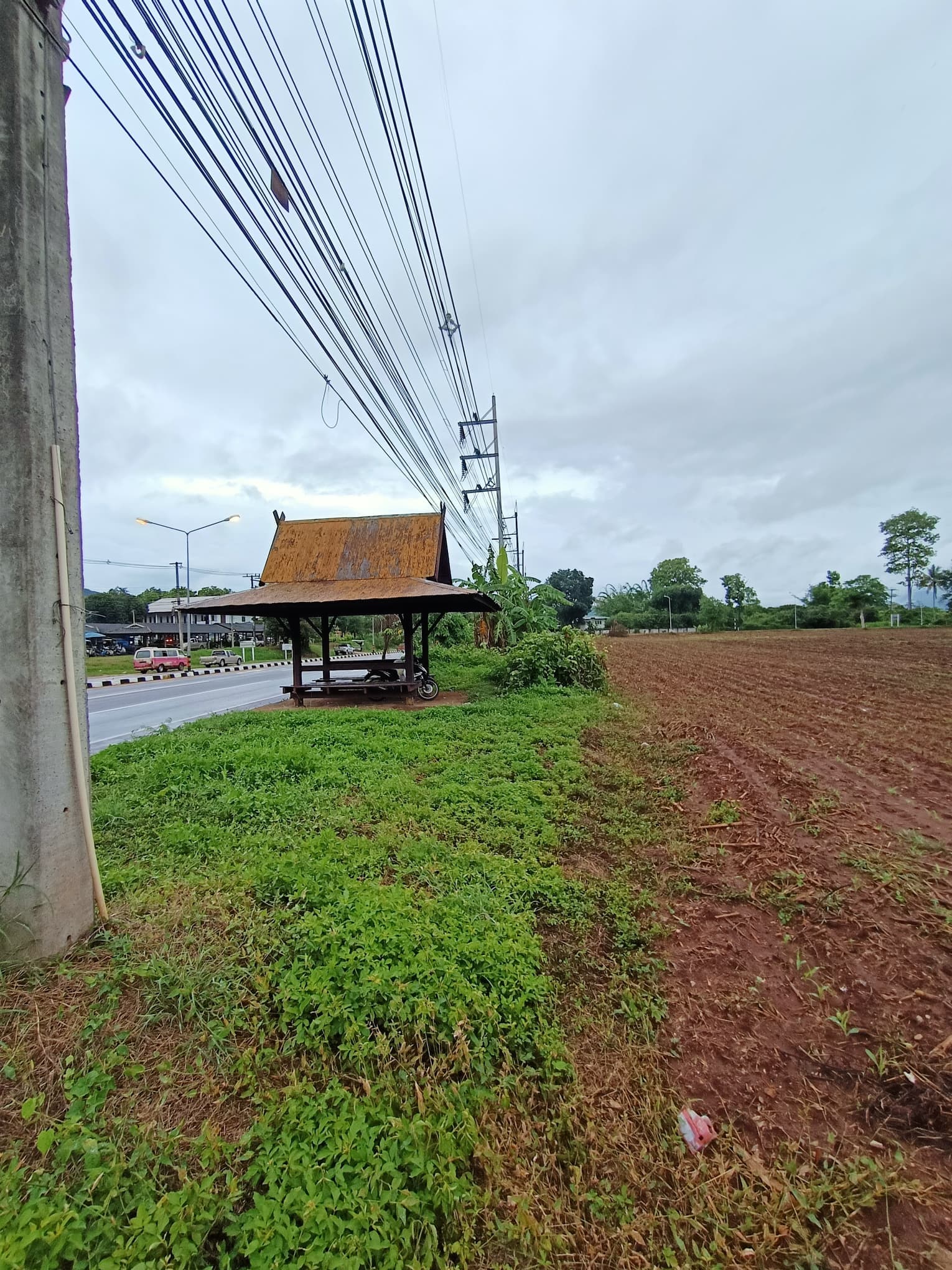 ขายที่ดินเชียงใหม่ จ.เชียงใหม่ อ.แม่แตง 8-3-73 ไร่