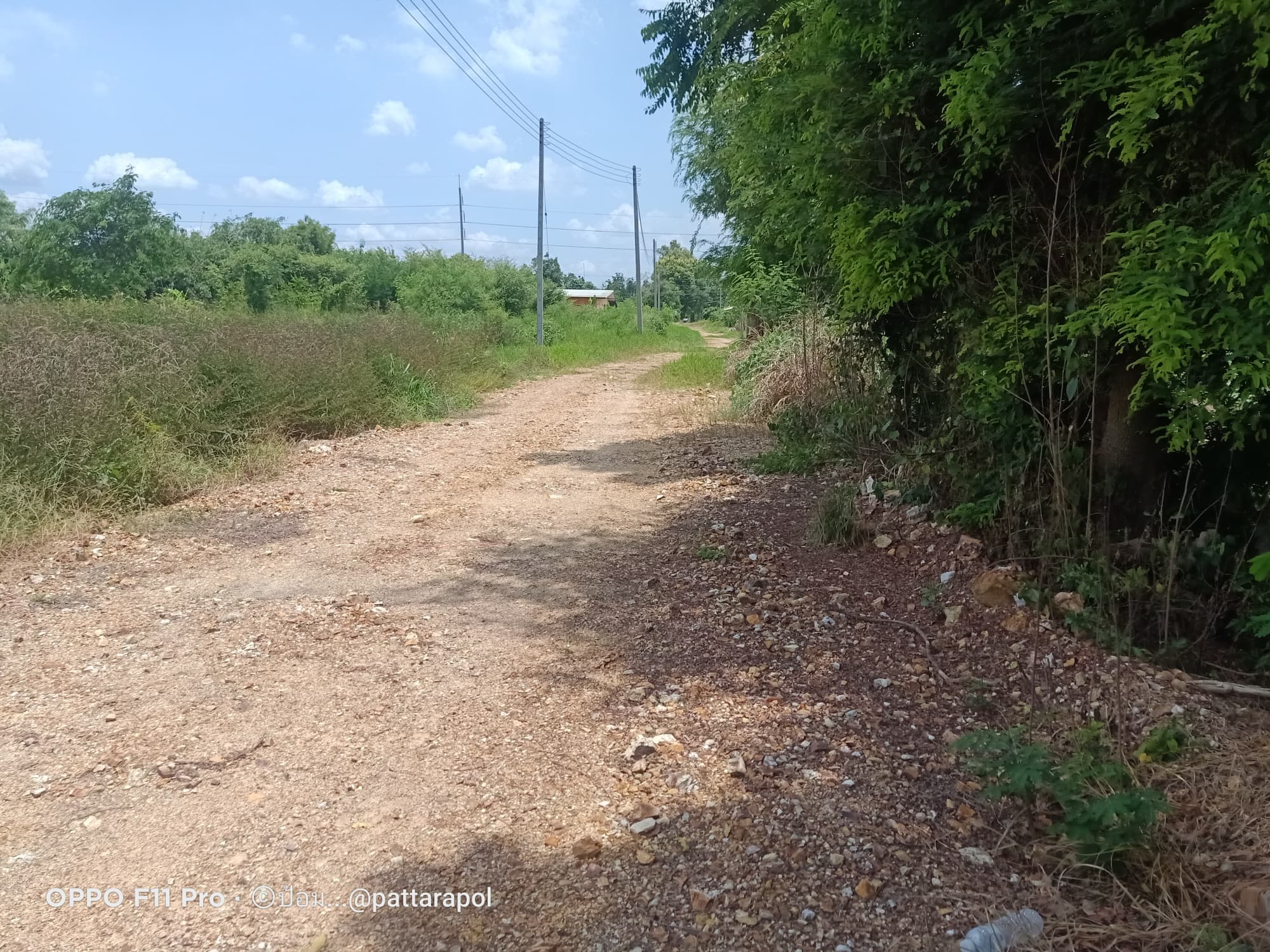 ขายที่ดิน ที่เปล่า พัฒนานิคม ลพบุรี